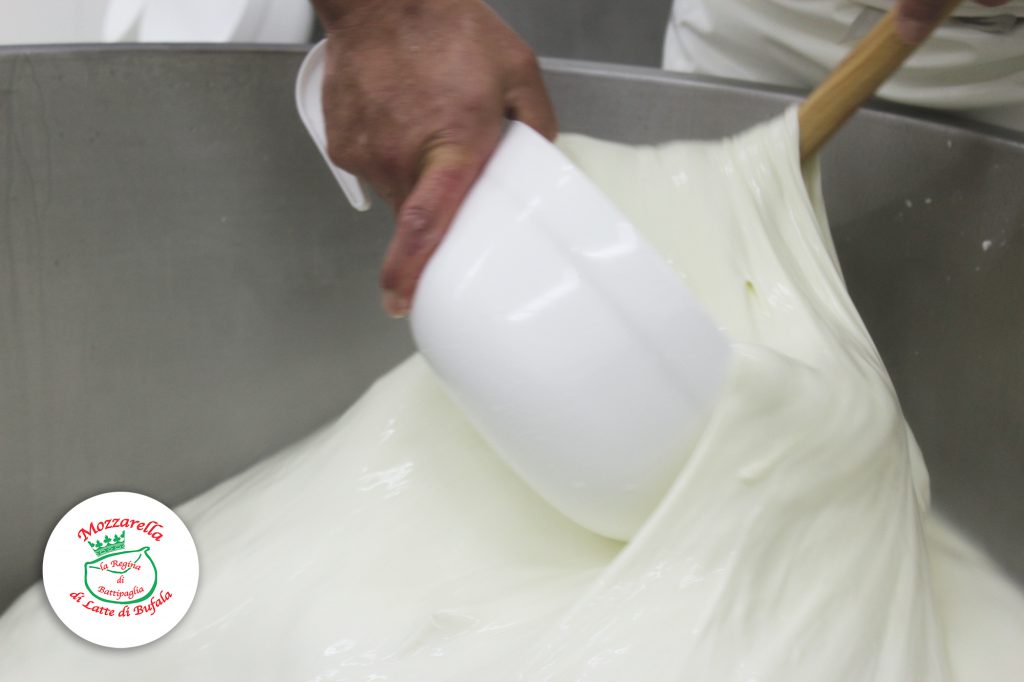 Le tradizionali fasi di produzione della mozzarella di bufala: la cagliata