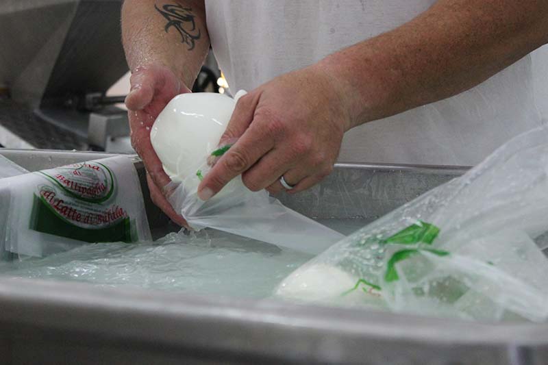 Alcuni consigli per conservare al meglio la mozzarella di bufala anche in estate