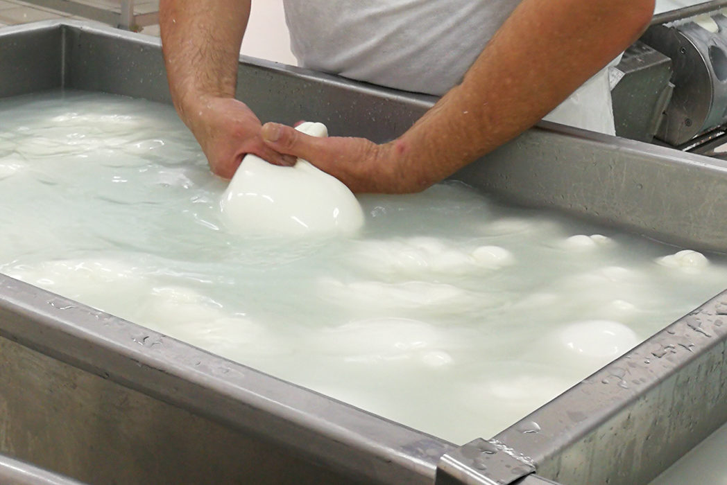 la mozzarella è un formaggio fresco a pasta filata. Ma non è grasso come pensi