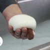 burrata-di-bufala-campana