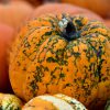 zucca-ricette